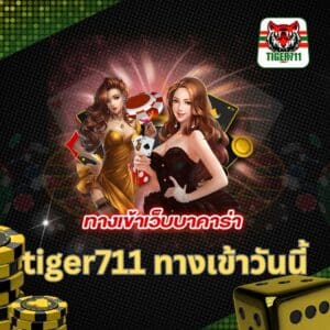 tiger711 ทางเข้าวันนี้
