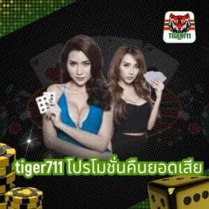 tiger711 โปรโมชั่นคืนยอดเสีย
