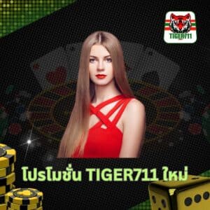 new-promotion-tiger711